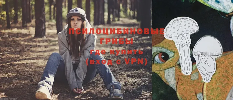 ОМГ ОМГ ССЫЛКА  Кувшиново  Псилоцибиновые грибы MAGIC MUSHROOMS 